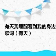 有天我睡醒看到我的身边没有你歌词（有天）