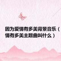 因为爱情有多美背景音乐（因为爱情有多美主题曲叫什么）