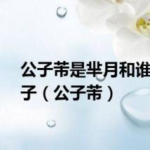 公子芾是芈月和谁的儿子（公子芾）