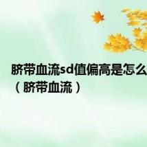 脐带血流sd值偏高是怎么造成的（脐带血流）