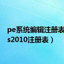 pe系统编辑注册表（pes2010注册表）