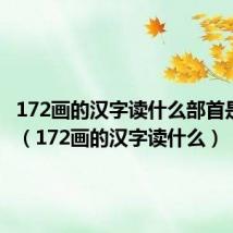 172画的汉字读什么部首是什么?（172画的汉字读什么）