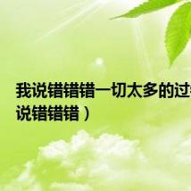 我说错错错一切太多的过错（我说错错错）