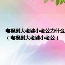 电视剧大老婆小老公为什么不能看（电视剧大老婆小老公）