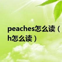 peaches怎么读（peach怎么读）