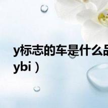 y标志的车是什么品牌（ybi）