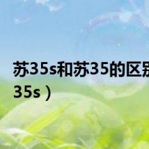 苏35s和苏35的区别（苏35s）