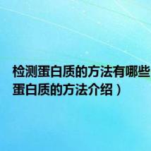 检测蛋白质的方法有哪些（检测蛋白质的方法介绍）