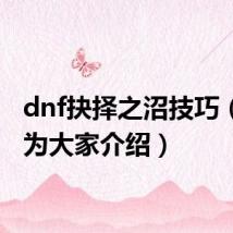 dnf抉择之沼技巧（详细为大家介绍）