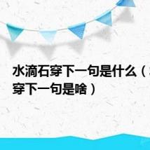 水滴石穿下一句是什么（水滴石穿下一句是啥）