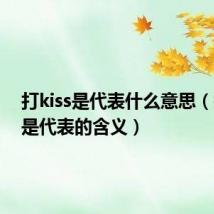 打kiss是代表什么意思（打kiss是代表的含义）