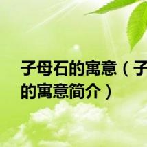 子母石的寓意（子母石的寓意简介）