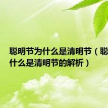 聪明节为什么是清明节（聪明节为什么是清明节的解析）