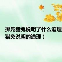 掷凫猎兔说明了什么道理（掷凫猎兔说明的道理）