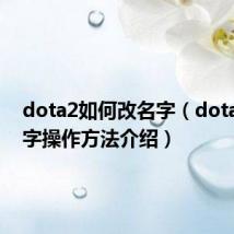 dota2如何改名字（dota2改名字操作方法介绍）