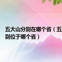 五大山分别在哪个省（五大山分别位于哪个省）