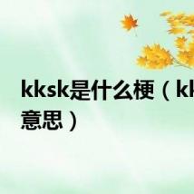 kksk是什么梗（kksk的意思）