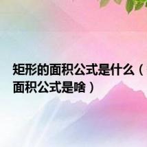 矩形的面积公式是什么（矩形的面积公式是啥）