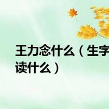 王力念什么（生字王力读什么）