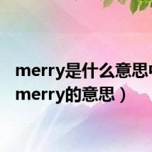 merry是什么意思中文（merry的意思）