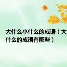 大什么小什么的成语（大什么小什么的成语有哪些）