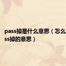 pass掉是什么意思（怎么理解pass掉的意思）