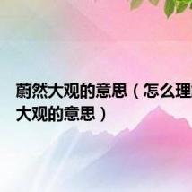 蔚然大观的意思（怎么理解蔚然大观的意思）