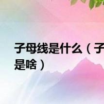 子母线是什么（子母线是啥）