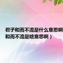 君子和而不流是什么意思啊（君子和而不流是啥意思啊）