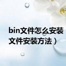 bin文件怎么安装（bin文件安装方法）