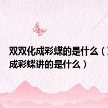 双双化成彩蝶的是什么（双双化成彩蝶讲的是什么）