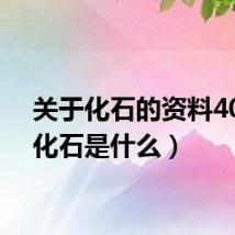 关于化石的资料40字（化石是什么）