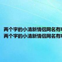 两个字的小清新情侣网名有哪些（两个字的小清新情侣网名有哪些呢）