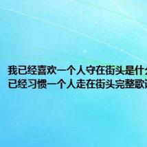 我已经喜欢一个人守在街头是什么歌（我已经习惯一个人走在街头完整歌词）