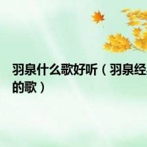 羽泉什么歌好听（羽泉经典好听的歌）