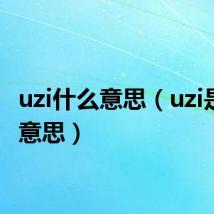 uzi什么意思（uzi是什么意思）