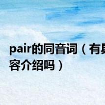 pair的同音词（有具体内容介绍吗）