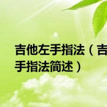 吉他左手指法（吉他左手指法简述）