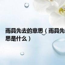 雨具先去的意思（雨具先去的意思是什么）