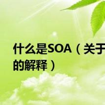 什么是SOA（关于SOA的解释）