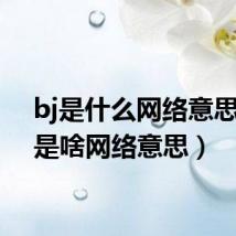 bj是什么网络意思（bj是啥网络意思）