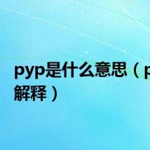 pyp是什么意思（pyp的解释）