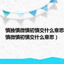 慎独慎微慎初慎交什么意思（慎独慎微慎初慎交什么意思）