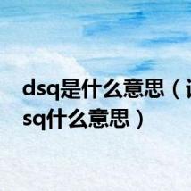 dsq是什么意思（词语dsq什么意思）