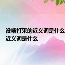 没精打采的近义词是什么抱怨的近义词是什么