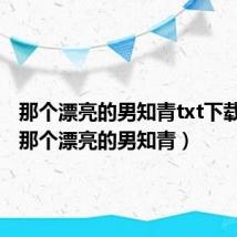 那个漂亮的男知青txt下载宝书（那个漂亮的男知青）