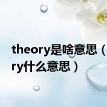 theory是啥意思（theory什么意思）