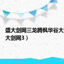 盛大剑网三龙腾枫华谷大战（盛大剑网3）