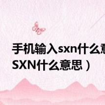 手机输入sxn什么意思（SXN什么意思）