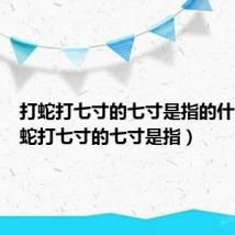 打蛇打七寸的七寸是指的什么（打蛇打七寸的七寸是指）